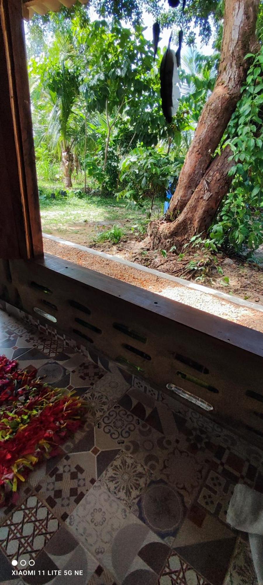 Eco Hostel Lunar ソウレ エクステリア 写真
