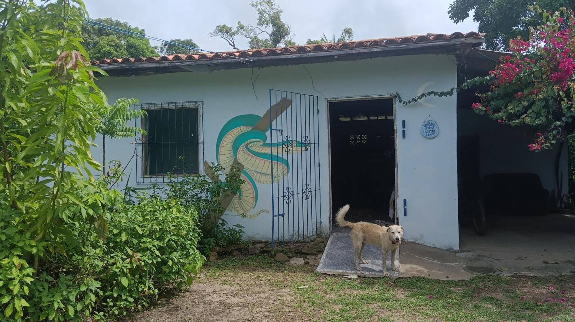 Eco Hostel Lunar ソウレ エクステリア 写真