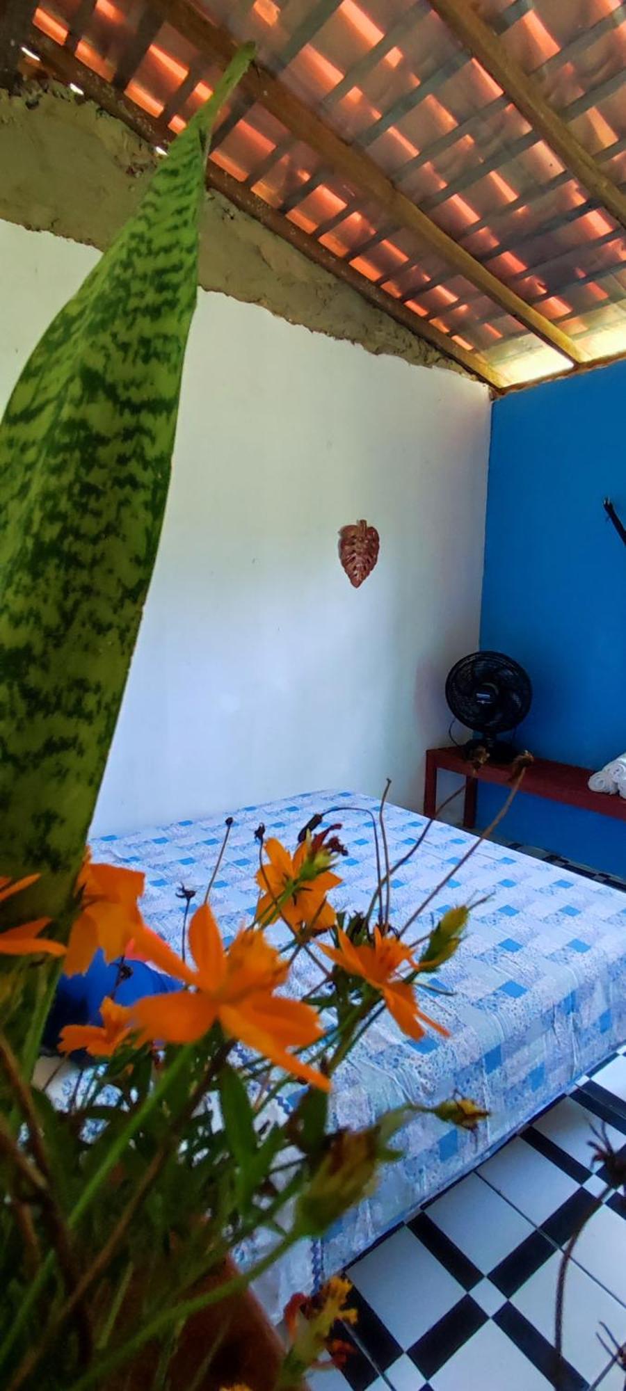 Eco Hostel Lunar ソウレ エクステリア 写真