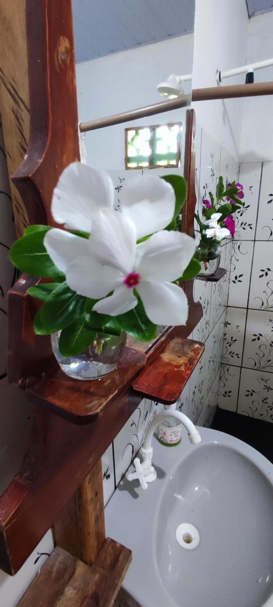 Eco Hostel Lunar ソウレ エクステリア 写真